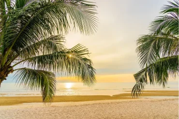 Temporada baja en Puerto Vallarta: la oportunidad perfecta para tu familia en Crown Paradise Vallarta