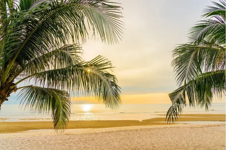 Temporada baja en Puerto Vallarta: la oportunidad perfecta para tu familia en Crown Paradise Vallarta